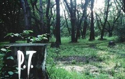 《P.T.》在僵尸游戏中重生 游玩更加恐怖