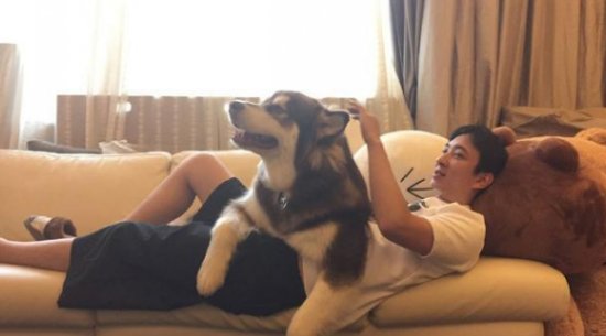 熊猫TV作死?王思聪露大鸟引14万人围观