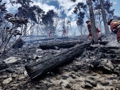 火场上穿越火线，森林消防员留下