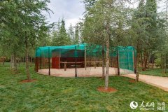 英雄联盟职业联赛：榜首大战FPX力